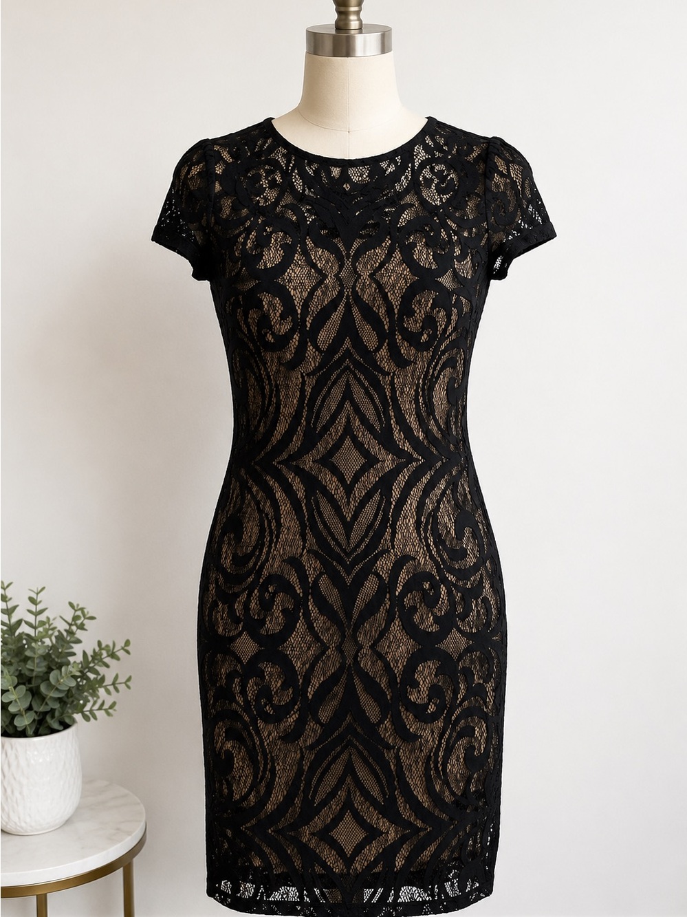 Taylor Black Lace Dress with Nude Lining